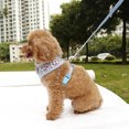 thumbnail image 3 of Mascota Perro Cachorro CHALECO suave Arnés de malla Correa Correa de pecho para caminar Collar para caminar Sunnimix  Conjunto de correa de arnés, 3 of 8