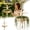 1pcs, variant on Ballet Dancer Hanging Planter, Dancing Lady Hanging Planter, Elegant Garden Decor for Porch & Patio
