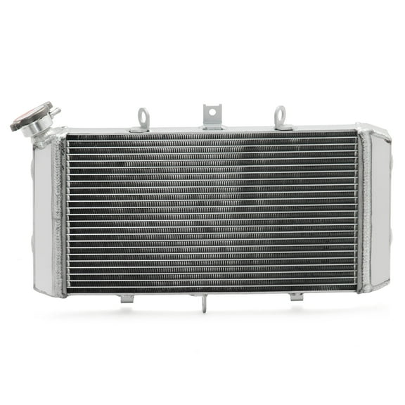 Aluminum Cooling Radiator For Kawasaki Z900RS 2018-2020 39061-0749