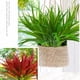 thumbnail image 2 of Plantas de jardín artificiales Billuyoard 2 piezas de plástico bajo mantenimiento Decoración verde, 2 of 6