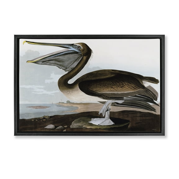 Stupell Industries Classic Pelican at Beach Animals & Insects Painting Black Floater Framed Canvas Art Print Wall Art, 25 x 17