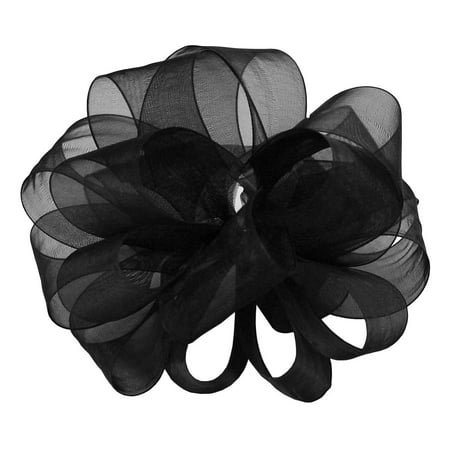 - Offray Monofilament Edge Simply Sheer Asiana Craft Ribbon, 1-1/2-Inch Wide by 25-Yard Spool, Black