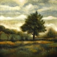 thumbnail image 2 of Holsinger, Joel 12x12 Black Ornate Wood Framed with Double Matting Museum Art Print Titled - Meadowland Trees, 2 of 4