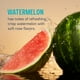 thumbnail image 2 of Liquid I.V.® Hydration Multiplier® - Watermelon - Hydration Powder Packets | Electrolyte Drink Mix | Easy Open Single-Serving Stick | Non-GMO | 16 Servings (Pack of 1), 2 of 5