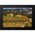 thumbnail image 2 of Crane, Rita 14x11 Black Modern Framed Museum Art Print Titled - Barns and Vineyards II, 2 of 5