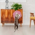 thumbnail image 1 of Fiudx Rascador Adhesivo, Superficie Versátil para Garras de Gato, Material Resistente a Arañazos, Diseño Vertical para Una Postura Natural, Protección para Muebles, Tiempo de Juego para Gatos y Mayor, 1 of 5