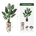 thumbnail image 3 of Artificial Tree of Paradise, 67" Silk Plant, Modern Planter, Indoor Outdoor Home Decor, 3 of 5