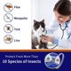 thumbnail image 5 of Collar contra pulgas y garrapatas para gatos, protección efectiva de 8 meses, collar ajustable para tratamiento contra pulgas de gatos, resistente al agua para cachorros de gatos (, 5 of 5