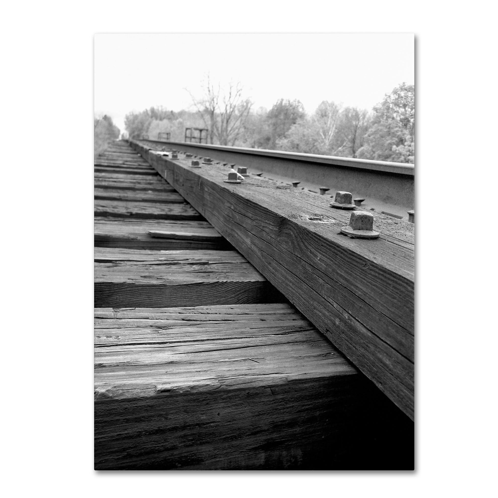 Trademark Fine Art "Unfinished Flaw" Canvas Art by Monica Fleet