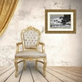 thumbnail image 3 of Jones, Adam 18x13 Gold Ornate Wood Framed with Double Matting Museum Art Print Titled - Rocky shoreline covered in Sesuvium-South Plaza Island-Galapagos Islands-Ecuador, 3 of 4