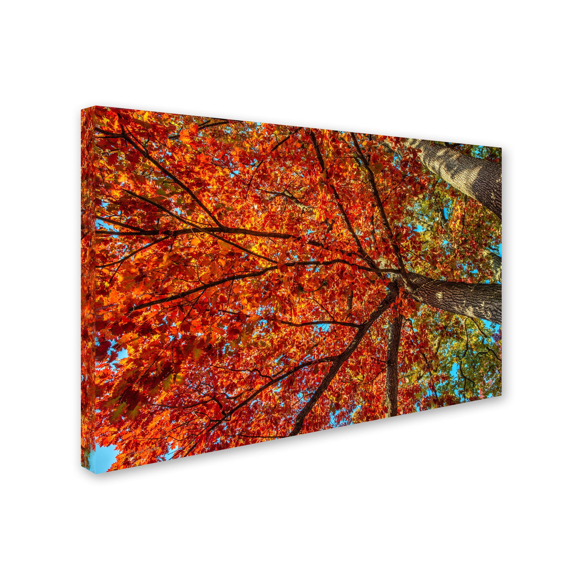 Trademark Fine Art "New York Fall-II" Canvas Art by David Ayash