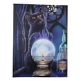 thumbnail image 5 of Wicca Witches Apprentice Black Cat By Gazing Ball Wood Framed Canvas Wall Decor, 5 of 5