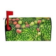 Lsque Cactus And Succulents Mailbox Cover Standard Size