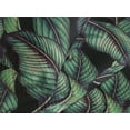 thumbnail image 3 of Ambesonne Tropical Quilted Coverlet 3 Pcs, Leaves Monochrome Back Art, Queen Size, Reseda Green and Pale Khaki, 3 of 4