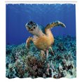 thumbnail image 3 of Ambesonne Turtle Shower Curtain, Cheloniidae Deep Ocean, 69"Wx70"L, Violet Blue Pale Brown, 3 of 3