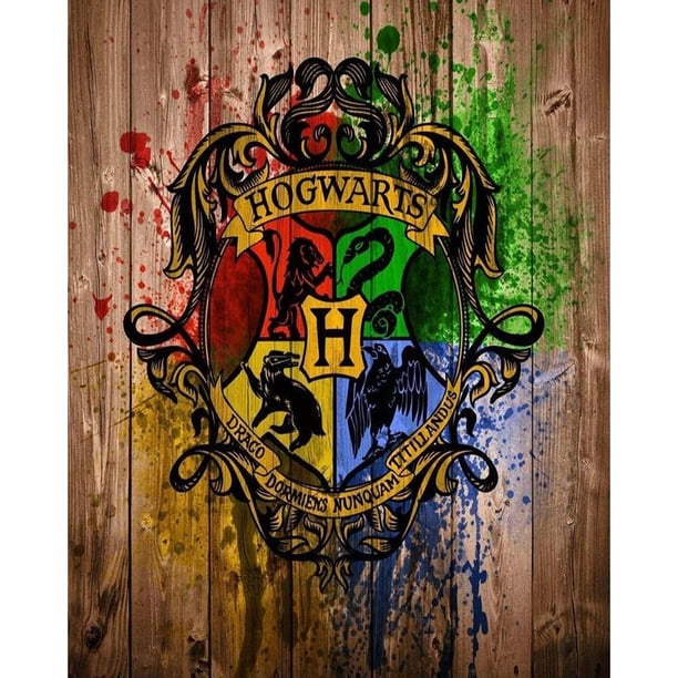 Cuadros Decorativos Insignia lienzo pintura por números dibujo pintado a mano al óleo 40x50cm decoración del hogar Wdftyju embutido en tela
