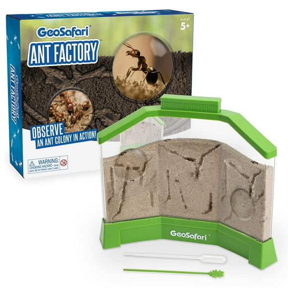 Educational Insights Usine de Fourmis GeoSafari avec Sable, Regardez des Fourmis en Direct, Jouet Éducatif STEM, 5 Ans et Plus