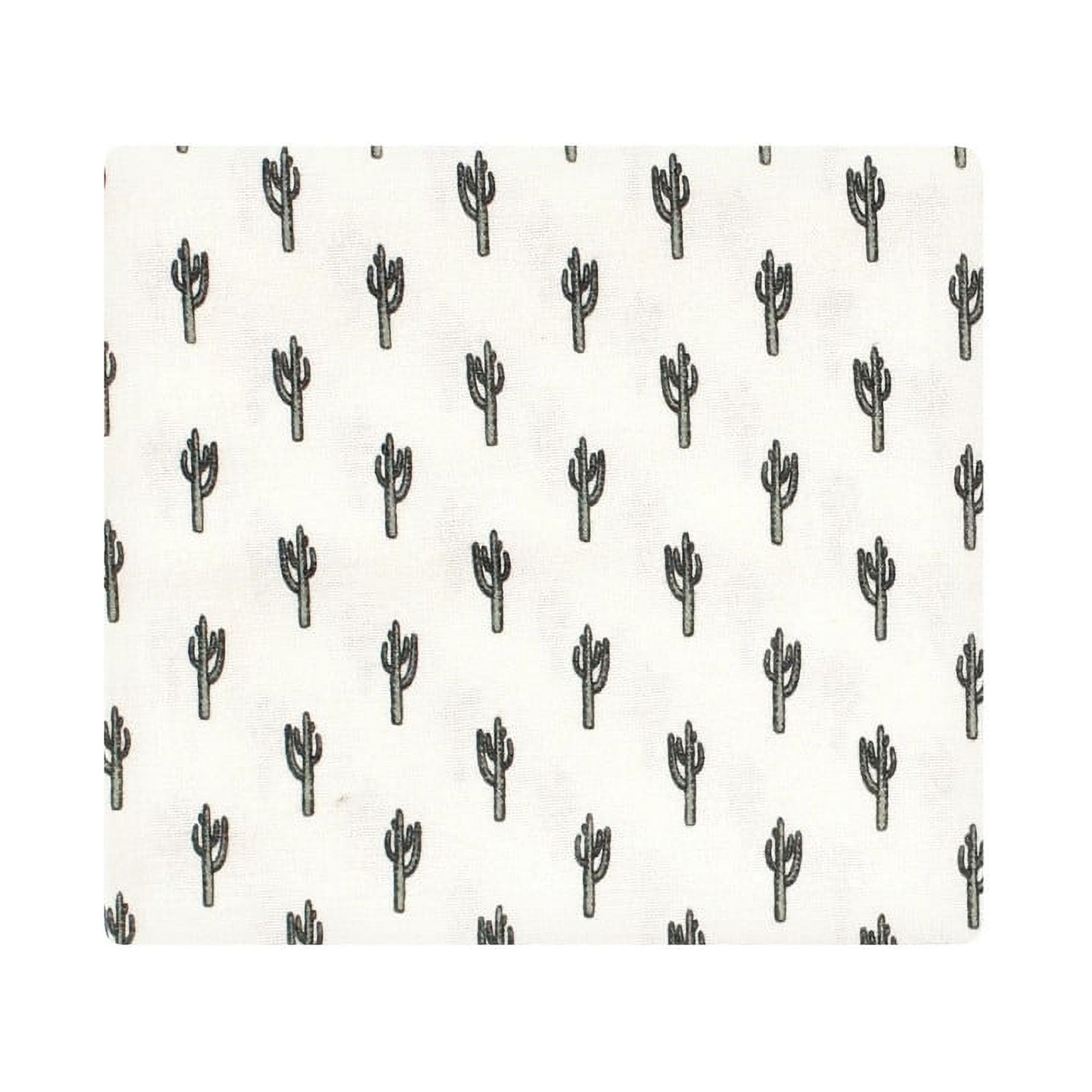 Hudson Baby Infant Boy Cotton Flannel Receiving Blankets Bundle, Desert Animals, One Size