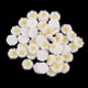 thumbnail image 2 of 5x Cabujón de flor de resina de margarita piezas 13 MM para decoración de álbum de recortes de bricolaje, 2 of 9