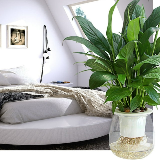 Self Watering Planter Violet Pots Clear Automatic Watering Planter Flower Pot Pot For All Outdoor Balcony 5 for Indoor Small Ceramic for Indoor Vegetable Planter Boxes Outdoor Vegetable Plates Ceramic