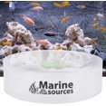 thumbnail image 3 of mm Acrylic Observe Lense Magnified Aquarium Viewer Helps with Photographing Ecosystems from Above Convenient and Practical, 3 of 9