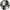 Carrara, variant on The Tile Life Argos Peak Carrara & Thassos Marble Mosaic Tile - 12 x 14 in. - Polished - 1-Piece - Floor & Wall