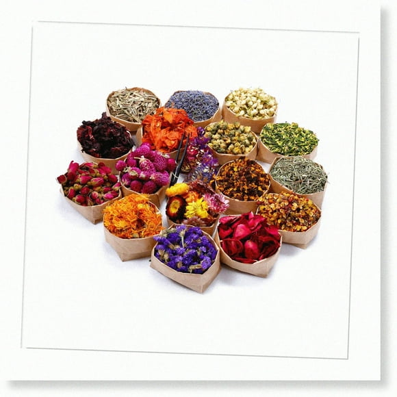 Natural Flower Power Kit - 16 Bags of Dried Herbs for Soap, Candle, and Bath Making with Rose, Lavender, Jasmine, and More