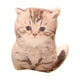 thumbnail image 5 of Lindo juguete de peluche decorativo, muñeco de animal, juguete coleccionable para dormir, sofá de juguete Estilo E, 5 of 9
