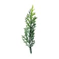 thumbnail image 2 of Winter Home Decor Accents, Artificial Leaf Branch Vase Filler, Winter Green Stem Home Decor for Table Mantel, Spooky House, Xmas Display, Clear 30*20cm, 2 of 7