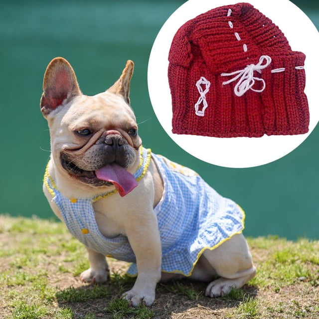 Gorro de invierno para perro Yinane rojo