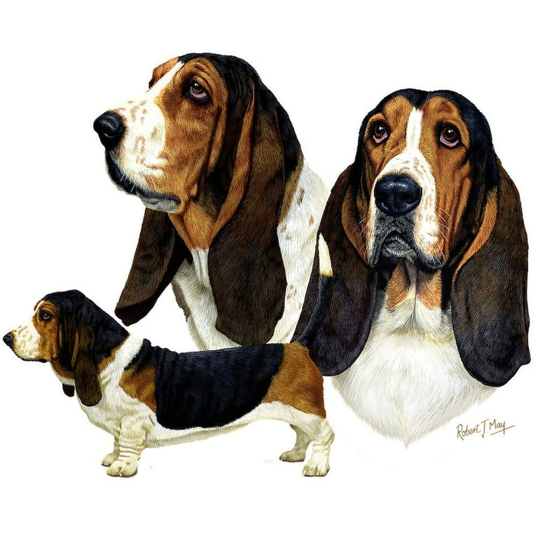 Basset hound throw blanket hotsell