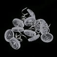 thumbnail image 3 of 2x 100 unids/set Clavos de tapicería acero inoxidable perfecl, 3 of 8