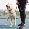 thumbnail image 6 of Pro: Active Woven Reflective Dog Collar - Violet Purple - Small 5/8" - Adjustable 8-12" Neck, Lightweight & Breathable, Pet Safety Reflective Strips, 6 of 9