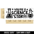 thumbnail image 2 of You're a Science Star Teacher Student School Self-Inking Rubber Stamp Ink Stamper - Green Ink - Large 2-3/4 Inch, 2 of 7