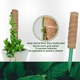 thumbnail image 3 of Cheers US Moss Pole for Plant Monstera, Plant Stakes Spagham Real Forest Moss Stick Handmade Potted Plant Support Soil Tools Support for Indoor, Outdoor Plant Climbing, 3 of 7