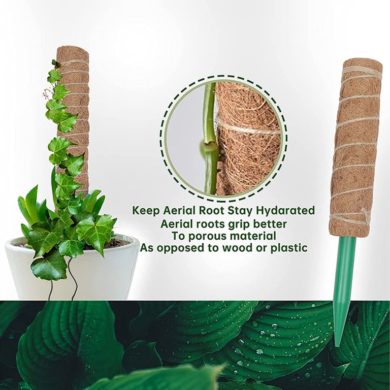 Cheers US Moss Pole for Plant Monstera, Plant Stakes Spagham Real