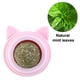 thumbnail image 3 of Bola de hierba gatera orgánica para gatos, juguete interactivo para gatos, 3 uds., 3 of 5