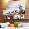 thumbnail image 3 of Rose Noire et Blanche au Printemps. - Impression sur Toile Florale, 3 of 4