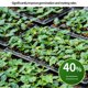 thumbnail image 5 of Seedl Heat Mat - Standard Warm Hydroponic Heating Pad For Indoor Gardening Heater Mat Seedl Mat Indoor Cultivation, 5 of 8