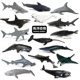 thumbnail image 1 of Oceans World Fishes Aquarium Miniature Decor Fish Tank Accessories Sea Animal Model Humpback Whale Hammerhead Shark Dolphin ToysT2 He Qiyong unisex, 1 of 1