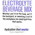 thumbnail image 4 of Sqwincher Sports Drink, Regular, 20 oz ready to drink, Grape, PK24 159030532, 4 of 6