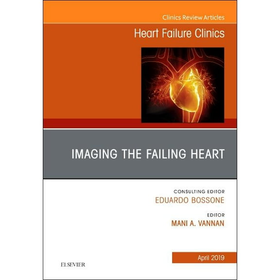 Clinics: Internal Medicine Imaging the Failing Heart, an Issue of Heart Failure Clinics: Volume 15-2, Book 15, (Hardcover)