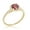 Jan - Genuine Garnet, variant on AVORA 10K Yellow Gold November Birthstone-Genuine Citrine with Simulated Diamond CZ Halo Fashion Ring - Size 7.5