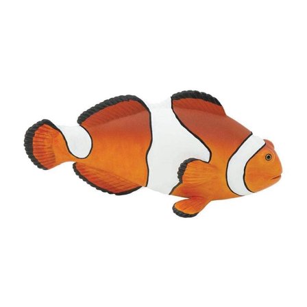 Safari Ltd. Clown Anemonefish Figurine - Lifelike 4.75" Model Figure - Educational Toy for Boys, Girls, and Kids Ages 18M 