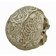 Celtic Owl Knotwork Human Skull Statue Pagan by Private Label