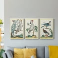 thumbnail image 5 of Pastel Birds I Premium Gallery Wrapped Canvas - Ready to Hang - 18 x 27 Each, 5 of 10