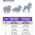 thumbnail image 3 of HAHDAXIA Anti-Pull Dog Harness for Small Dogs, Reflective Soft Padded Dog Harnesses, Adjustable, Breathable Chest Harness with Safe Easy Control Handle, Black, S, 3 of 6