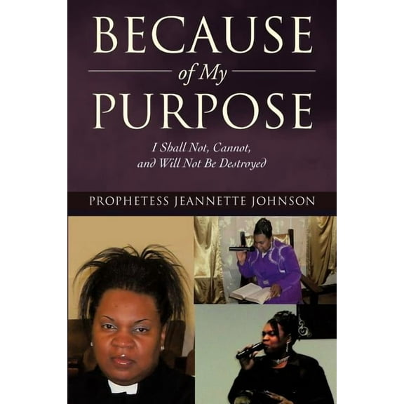 Because of My Purpose: I Shall Not, Cannot, and Will Not Be Destroyed (Paperback)