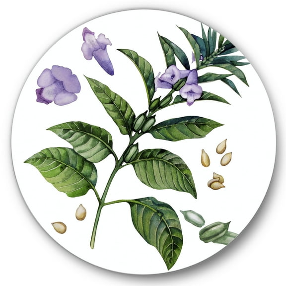 Designart 'Purple Sesame Flowers WIth Green Leaves On White' Traditional Circle Metal Wall Art 36x36 - Disc of 36