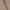 Beige, variant on Hi Chino Short